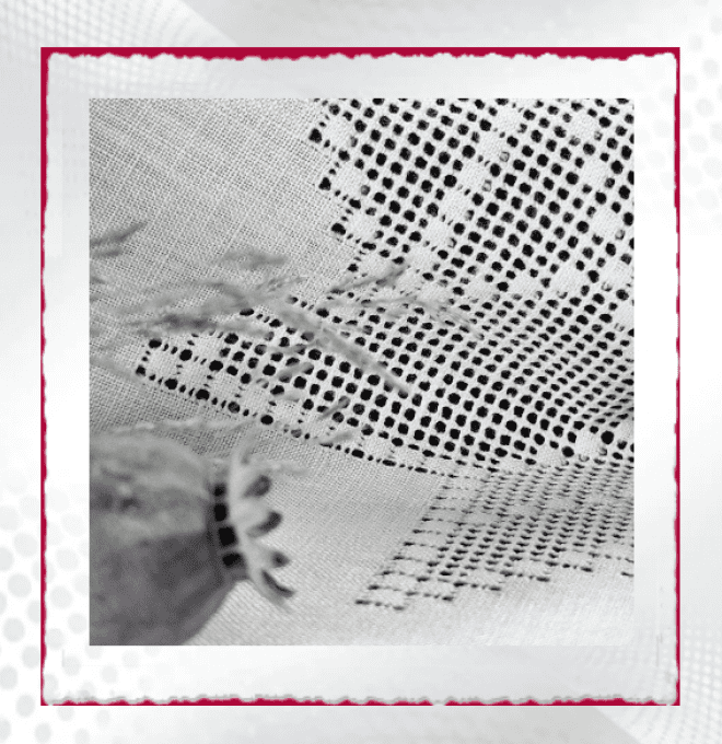 fiche imprimée estelle