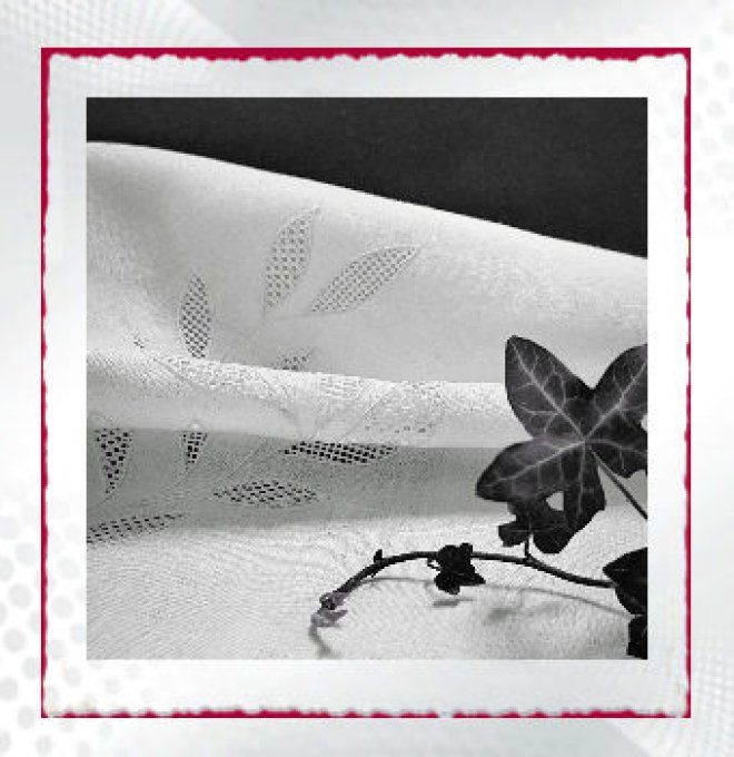 fiche imprimée motif cordonnet pauline 