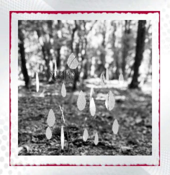 fiche imprimée constance